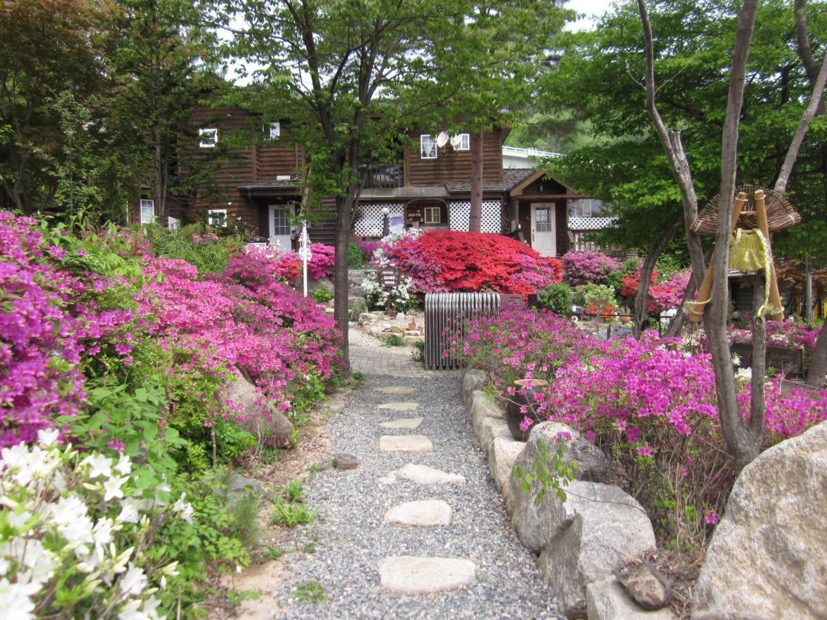 Mayfair Deneb Pension Pyeongchang Exterior foto